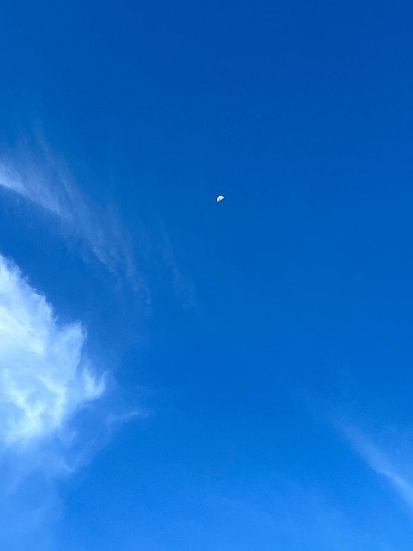 A clear blue sky with a crescent moon visible in the upper right corner.