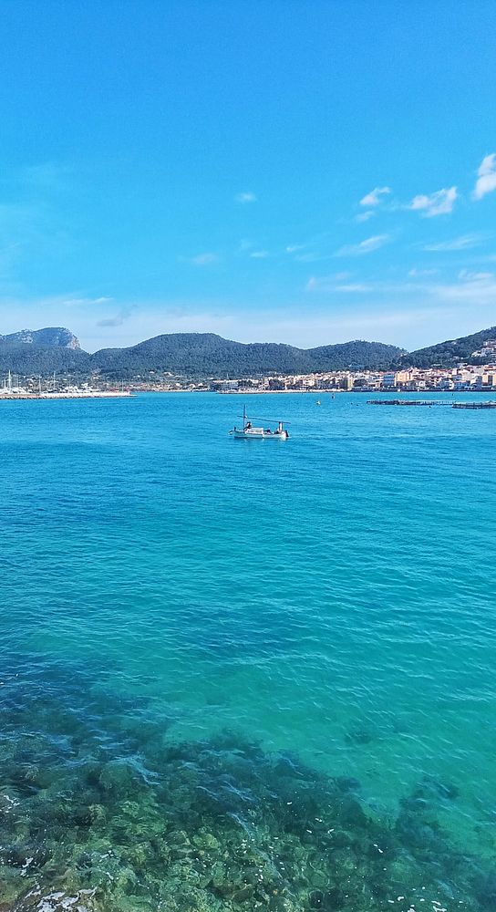 View of a forest hiking trail surrounded by tall, dense trees and scattered fallen leaves, with two hikers visible in the distance.