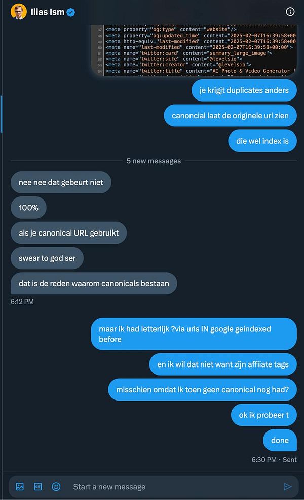 A conversation in Dutch discussing the use of canonical URLs and indexing issues related to specific query parameters.