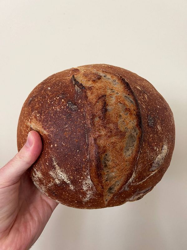 A freshly baked sourdough bread with a 20% rye composition is being held in a hand.