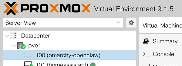 Screenshot of a Proxmox VE installation screen showing disk overwrite confirmation on Omarchy.
