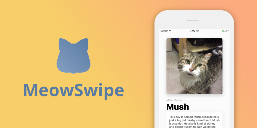 MeowSwipe