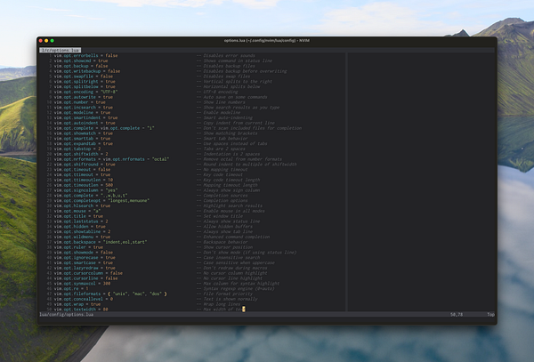 A code editor window displaying a Lua configuration file for Neovim.