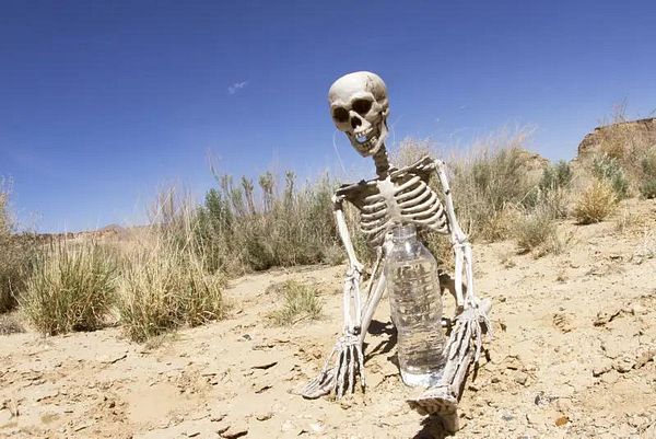 A skeleton sits in a dry, barren landscape holding a water bottle.