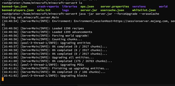 A terminal window displaying the startup process and logs of a Minecraft server.