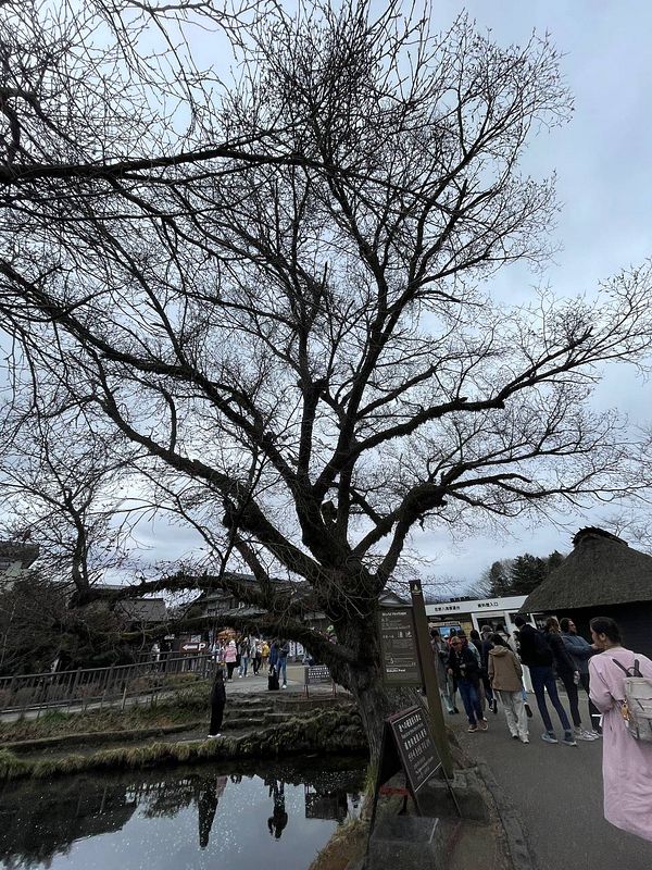 Japanese train station platform with a view of Mount Fuji through overhead signage and infrastructure.