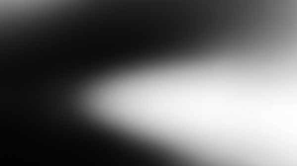 A gradient wallpaper featuring a smooth transition from black to white.