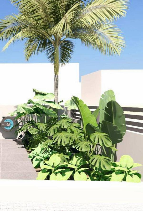 Comparison of a detailed 3D garden design with plants against a photo of the actual garden with different plants.