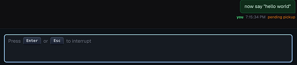 Screenshot of a code environment showing instructions for running a script on a Mac mini.