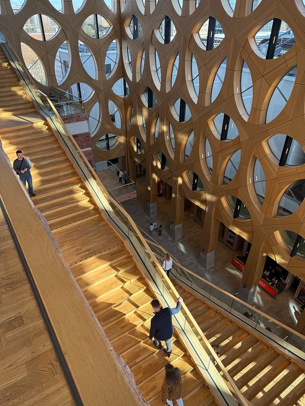 A modern architectural interior featuring a wooden staircase and large, patterned windows.