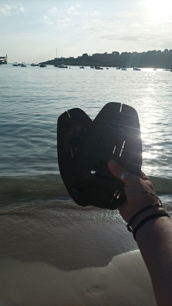 A person is holding a pair of swim fins near the water's edge on a sunny day.