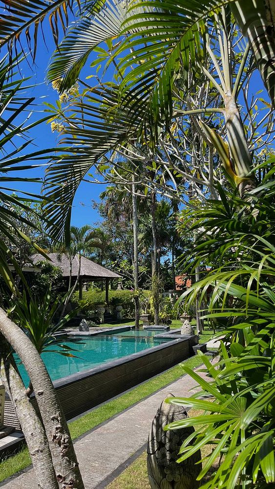 A serene tropical pool scene surrounded by lush greenery.