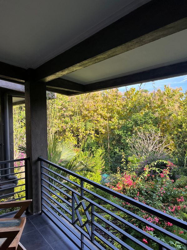 A view from a balcony overlooking a lush garden.