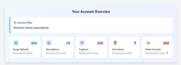 The image displays an account overview dashboard for a subscription service.