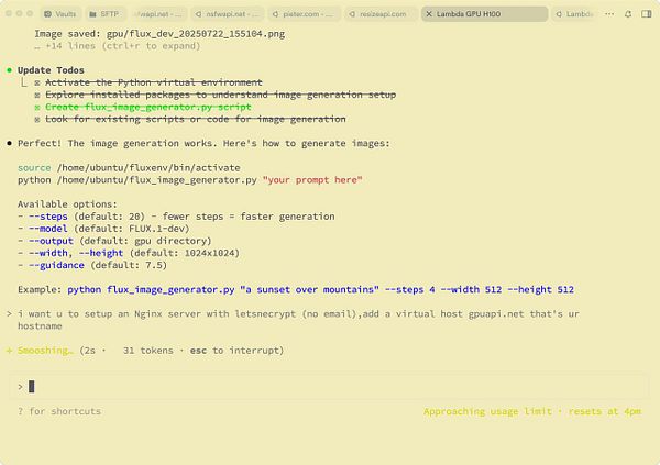 The image displays a terminal interface showing commands and options for setting up an Nginx server and generating images using a Python script.