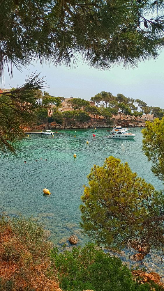 A serene coastal scene featuring a calm bay with boats and swimmers.
