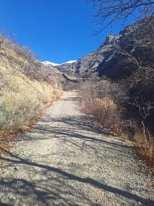 A serene mountain path under a clear blue sky.