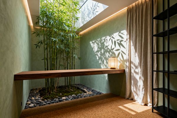 A compact home office features a floating walnut desk spanning soft sage-green walls. An indoor planter of tall bamboo sits beneath a roof skylight, casting dappled leaf shadows across the limewashed surface. The planter is lined with moss and smooth river pebbles, while the floor is cork. A lantern-style table lamp rests on the desk beside a full-height linen curtain, with a matte black open shelf unit at the room’s edge.