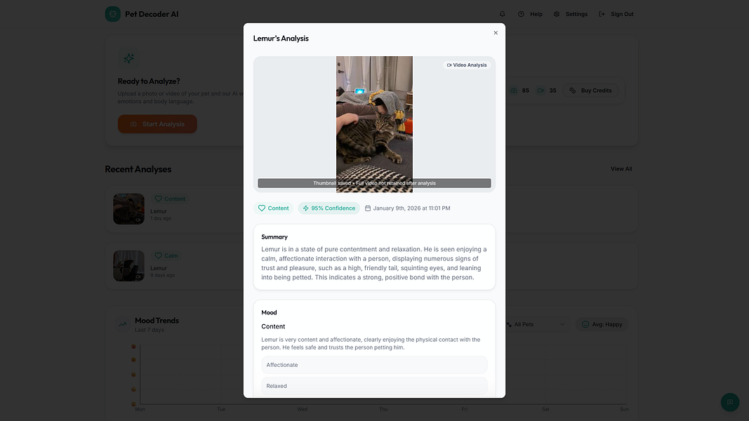 Pet Decoder AI: Upload a video or photo to decode your | BetaList