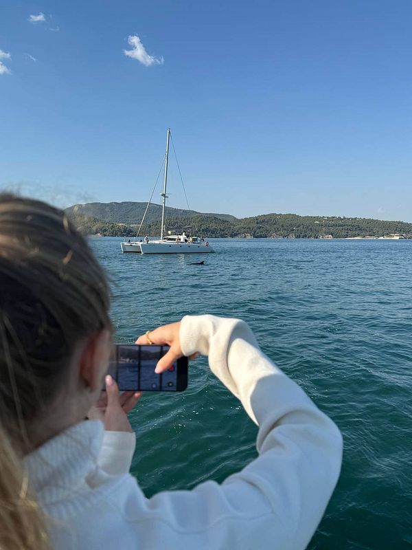 A person captures a photo of dolphins while on a boat in a scenic coastal setting.
