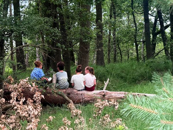 A family hiking in a lush green forest with kids carrying backpacks along a trail during daytime.