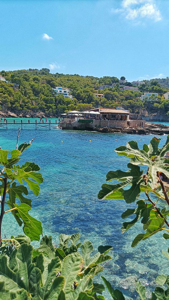 A picturesque beach scene featuring a rustic restaurant on a rocky outcrop surrounded by clear turquoise waters.