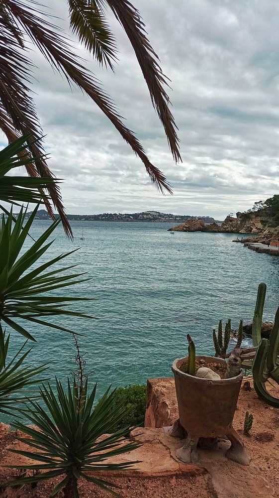 A scenic coastal view featuring palm trees, cacti, and calm waters under a cloudy sky.