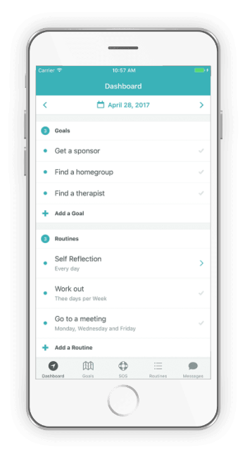 Pelorus Health