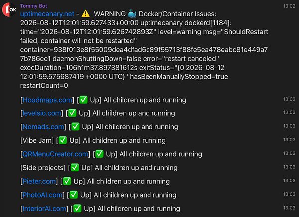 Screenshot of a Linux terminal session showing server status commands and output related to 'uptimecanary' service.