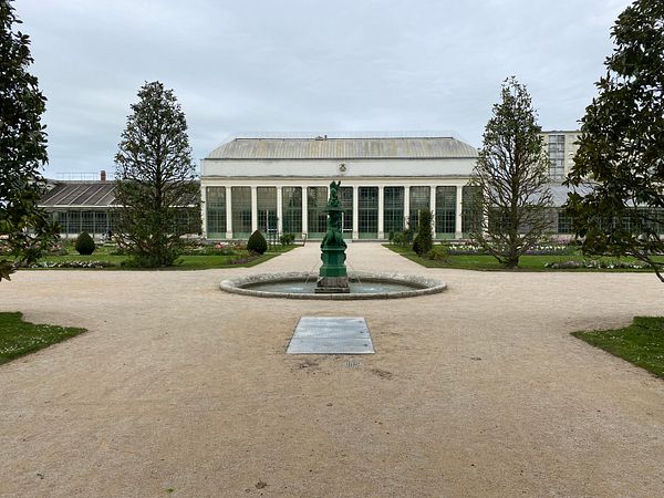 A serene garden scene featuring an elderly person walking on a wooden footing among lush greenery and trees.