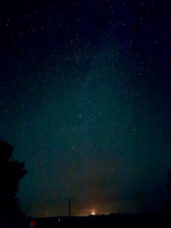 A nighttime scenic image of a streetlamp and tree branches silhouetted against a starry sky with a visible solar eclipse.