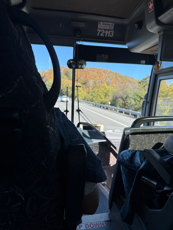 A view from inside a bus traveling towards Woodstock, showcasing autumn foliage outside.
