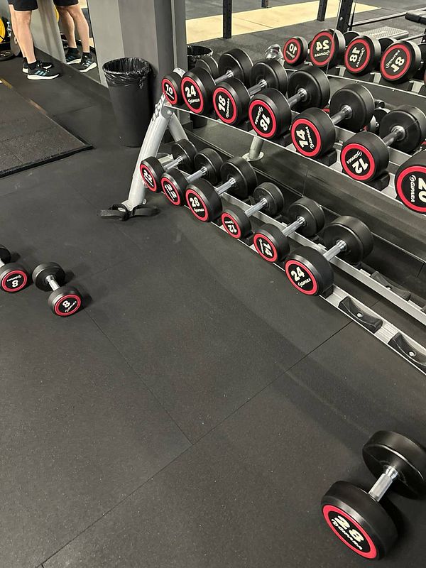 A gym setting featuring a rack of dumbbells and a workout bench.