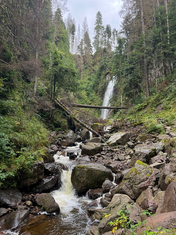 A scenic view of a waterfall surrounded by lush greenery and rocky terrain.