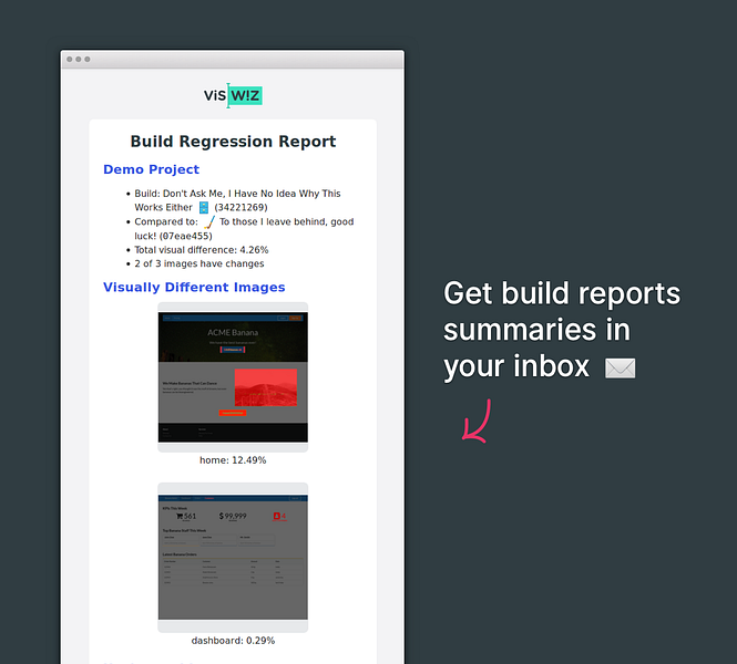 VisWiz.io