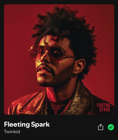 The image features the album cover for the single 'Fleeting Spark' by Twinkid.