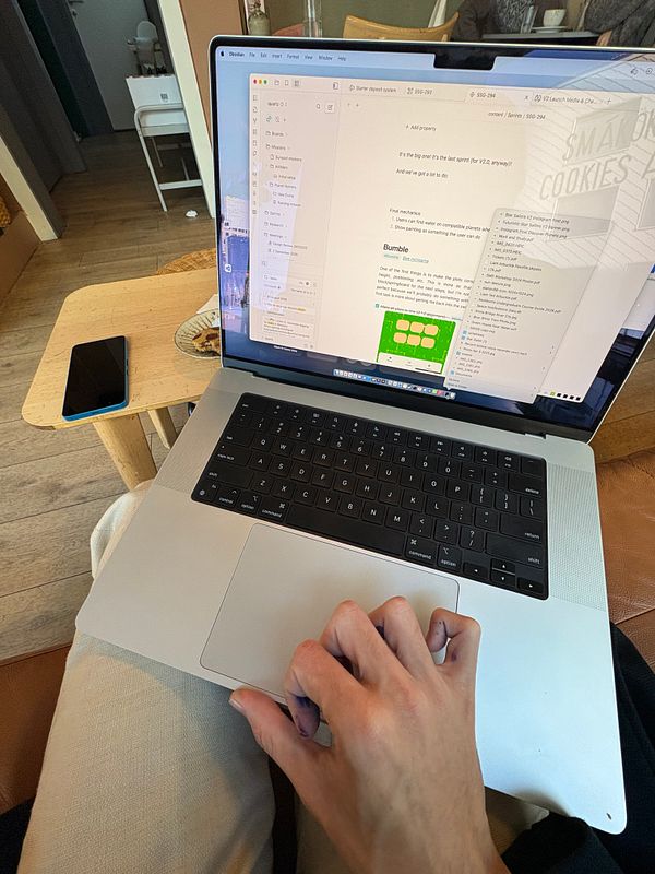 A person is working on a laptop in a cozy indoor setting.
