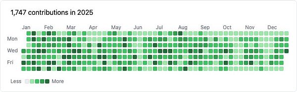 A contribution graph displaying activity over the year 2025.