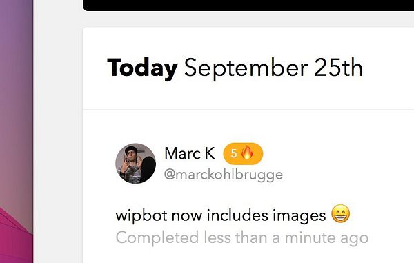 A task completion message indicating a new feature in 'wipbot'.