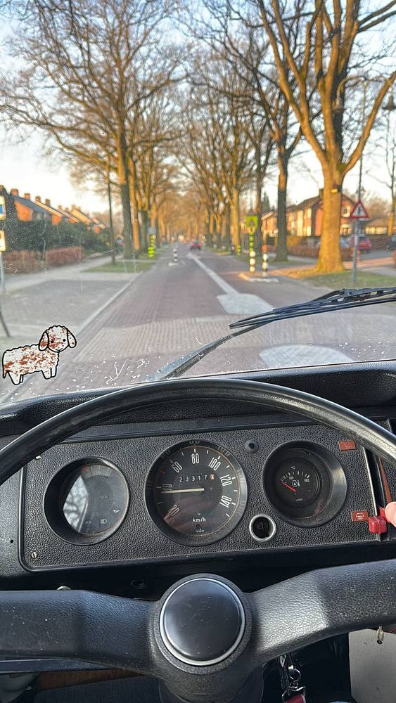 A view from the driver's seat of a vehicle on a tree-lined street in Amsterdam.