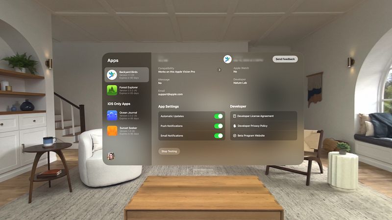 Screenshot of TestFlight