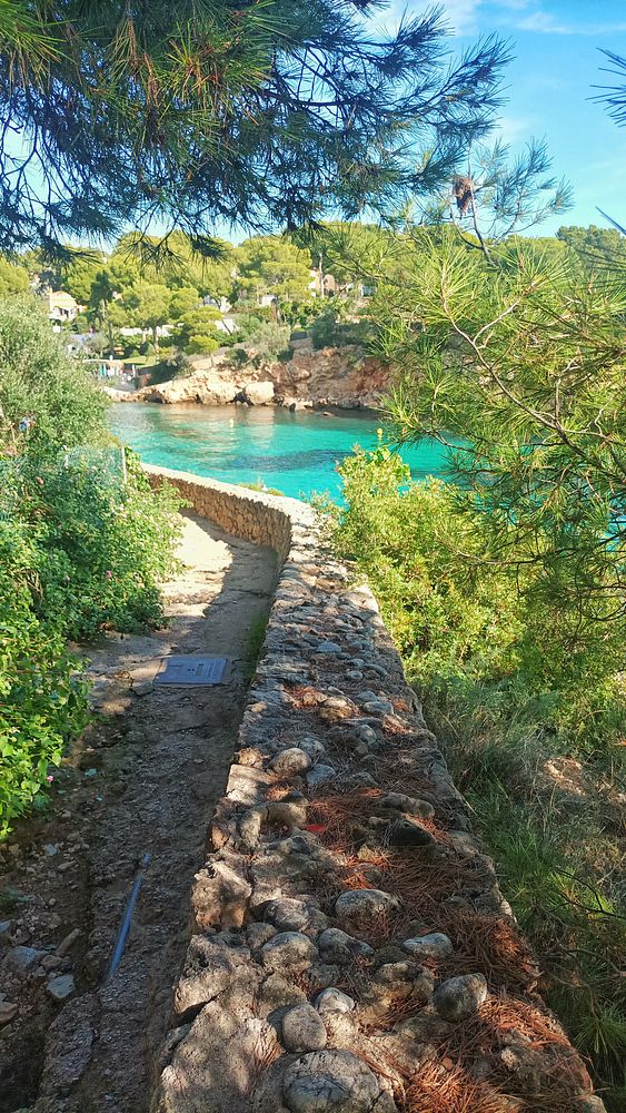 A scenic pathway along a coastal area surrounded by greenery and clear blue water.