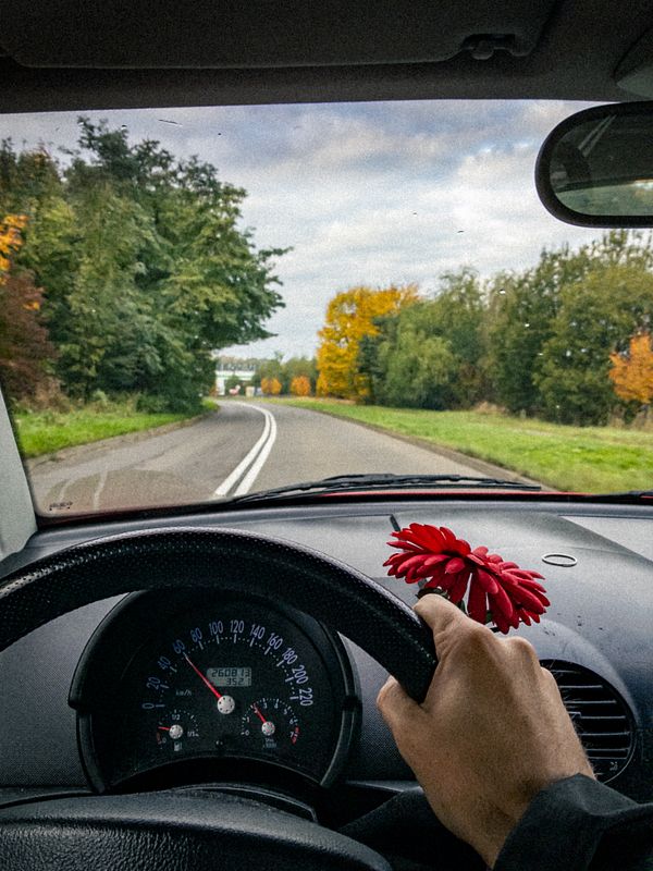 A driver's perspective from inside a car on a winding road surrounded by trees in autumn colors.