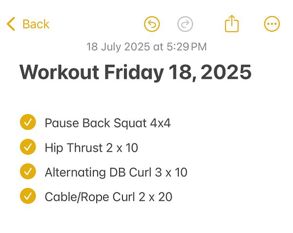 A digital workout journal entry detailing exercises for a specific date.