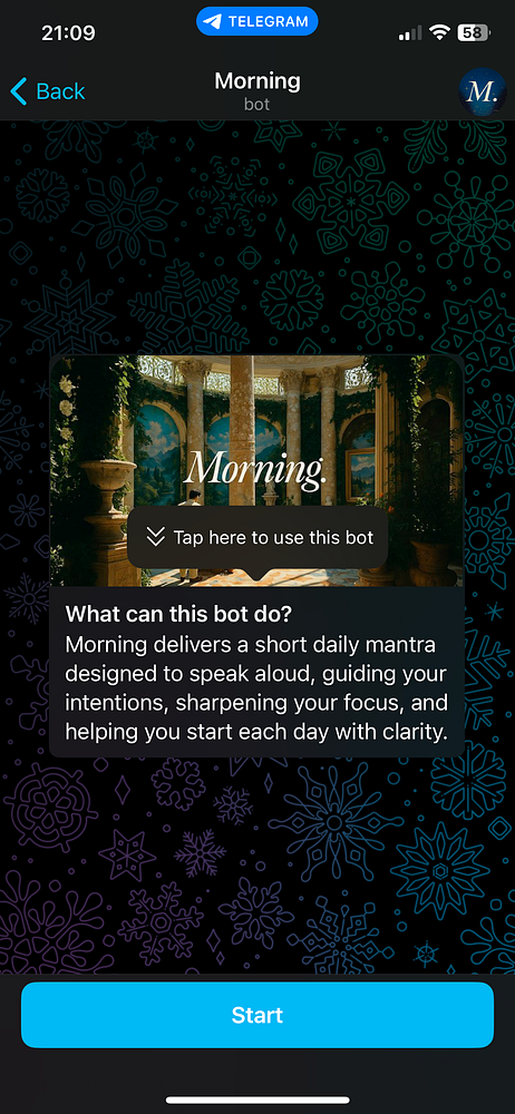 The image displays a Telegram bot onboarding screen for a bot named 'Morning'.