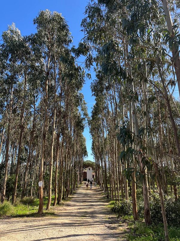 A large outdoor soup festival event with people walking past colorful booths and signage under a partly cloudy sky.
