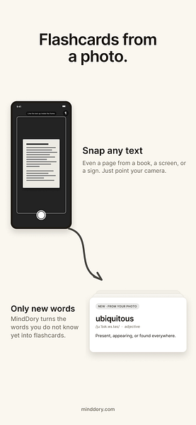 MindDory: Vocabulary & Grammar