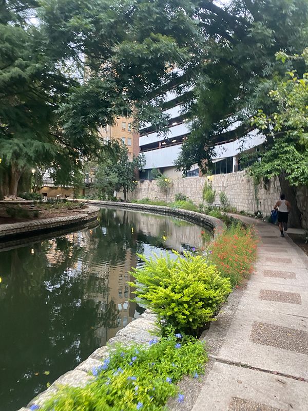 A serene walkway along a calm waterway surrounded by lush greenery and urban buildings.