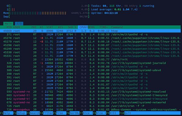 The image displays a terminal window showing system resource usage and running processes.