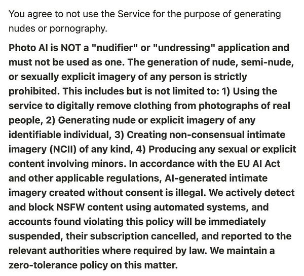 Screenshot showing the "Terms of Use" for Photo AI with sections about Prohibited Use, Privacy, Disclaimer, and others.